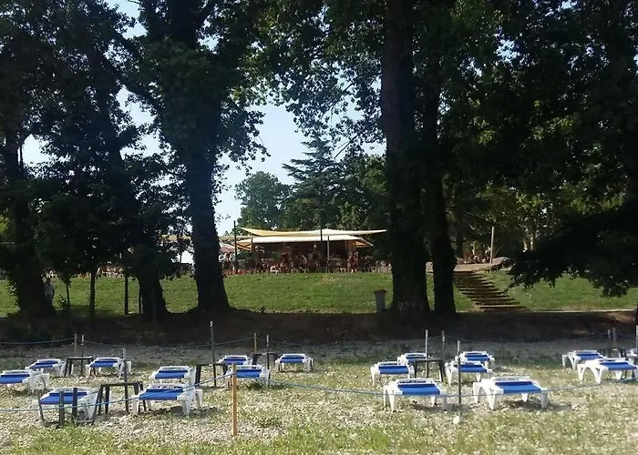 Apartment Les Bambous - Rez De Jardin Centre - Parking Privatif, Wifi Millau