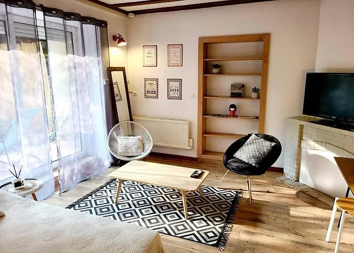 Apartment Les Bambous - Rez De Jardin Centre - Parking Privatif, Wifi Millau