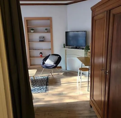 Les Bambous - Rez De Jardin Centre - Parking Privatif, Wifi Apartment Millau